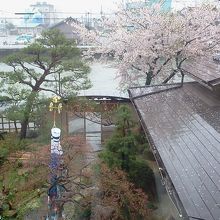 部屋から見える庭の景色