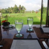 田んぼに面したレストラン