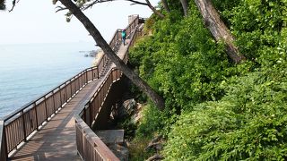 ムーンターンロードという散策路