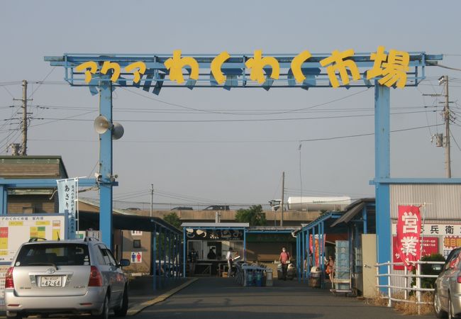 アクア わくわく市場