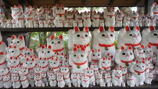 井伊直弼の墓もありました