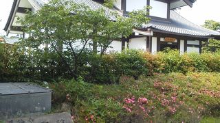 公開日が少ないです