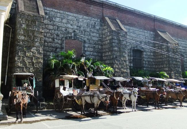 観光客のためだけではなく市民の足として馬車が利用されています