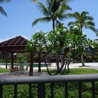 フェアウェイズの敷地のプール