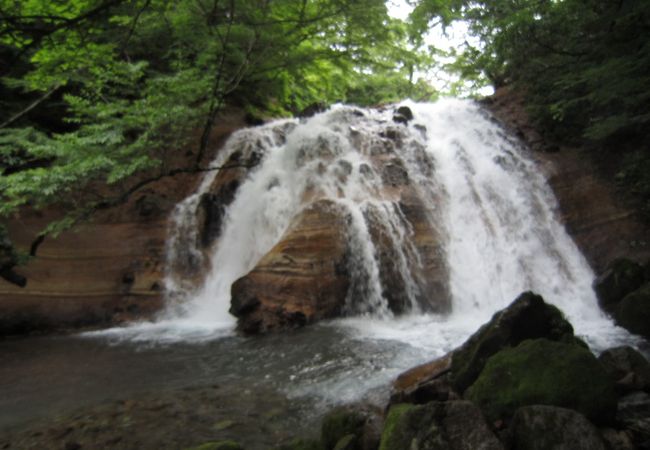 トレッキング体験ができる湧水の森