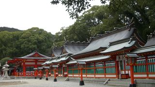 目に鮮やかなる朱