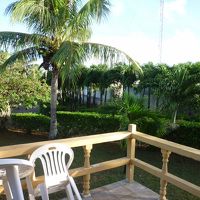 ちょっとした庭も付いています。