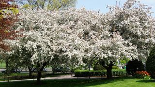 春と秋が美しいです