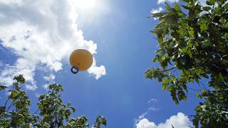 アンコールワット 気球