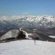 忍者の里の奥にあるスキー場！雪質がファンタスティック