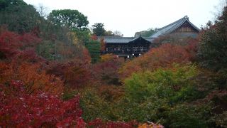 素晴らしい眺めです