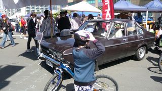 ニュージーランド最大の博物館