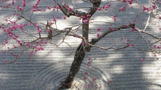 山の中の静かなお寺