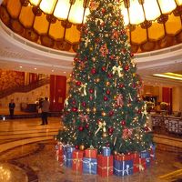 年末でしたが、まだ、ロビーにはツリーがありました