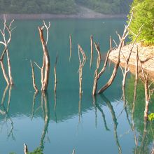 ネッシーが出そう！！