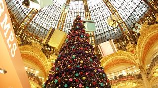 雨の日のショッピングに