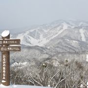 大日岳一望