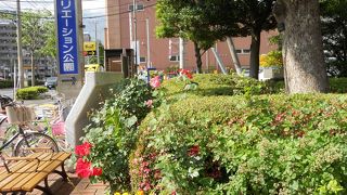 時期を選べば、バラなどキレイな花が見られる、フラワーガーデン