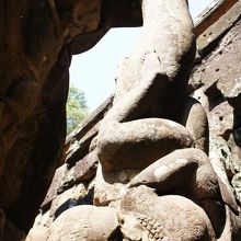 象の鼻で遊び子ども