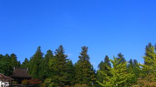 山深い静粛な雰囲気