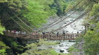平家のお落人伝説のかずら橋