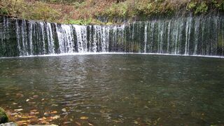 底に沈んだ落ち葉も、情緒がありました