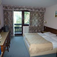 コンパクトな作りですが、窓は大きく明るい室内