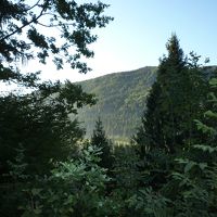 ホント自然豊かな環境です。