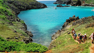 ネムリブカの棲む入り江