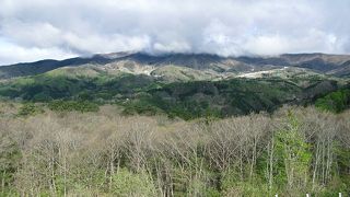 渋滞が多いサービスエリア
