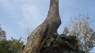 MUSTで見てほしい遺跡