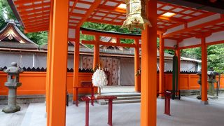 【吉田神社】京大そば