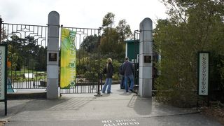 とても広い植物園