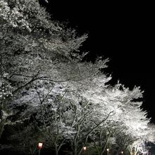 白と黒のエクスタシー！！