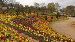 ガーデニング好き＆お子様連れ向き