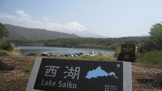 近くにコウモリ穴あります！