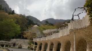 見ごたえある一竹辻が花の数々
