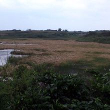 観察小屋から広範囲が見渡せます