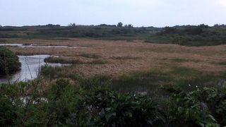 双眼鏡を持参しましょう！