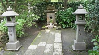 愛猫のご供養を！