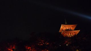 夜の特別拝観