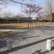 意外に広い公園