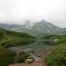 見る場所によって微妙に色が違います