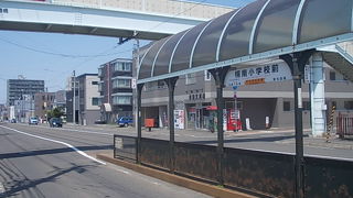 歩道橋から眺める市電がお勧めです