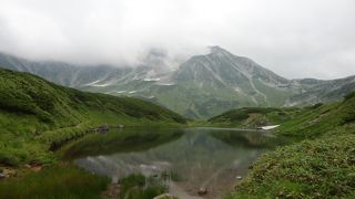 小さいけれど色合いが素敵