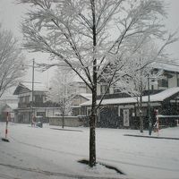 ホテルの前の景色　角館武家屋敷の入り口