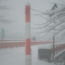 ホテル近くの桧木内川