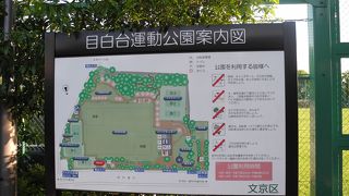 サッカーや野球が楽しめる場所です。