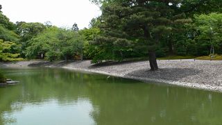 空きがあれば前日でも予約可能