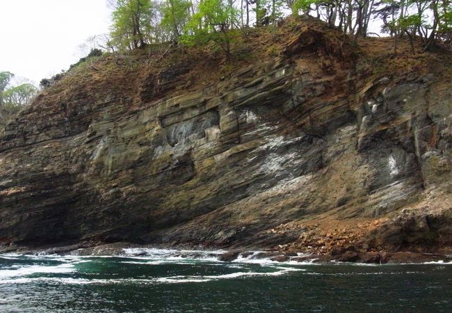 遊覧船から望む地層が美しい